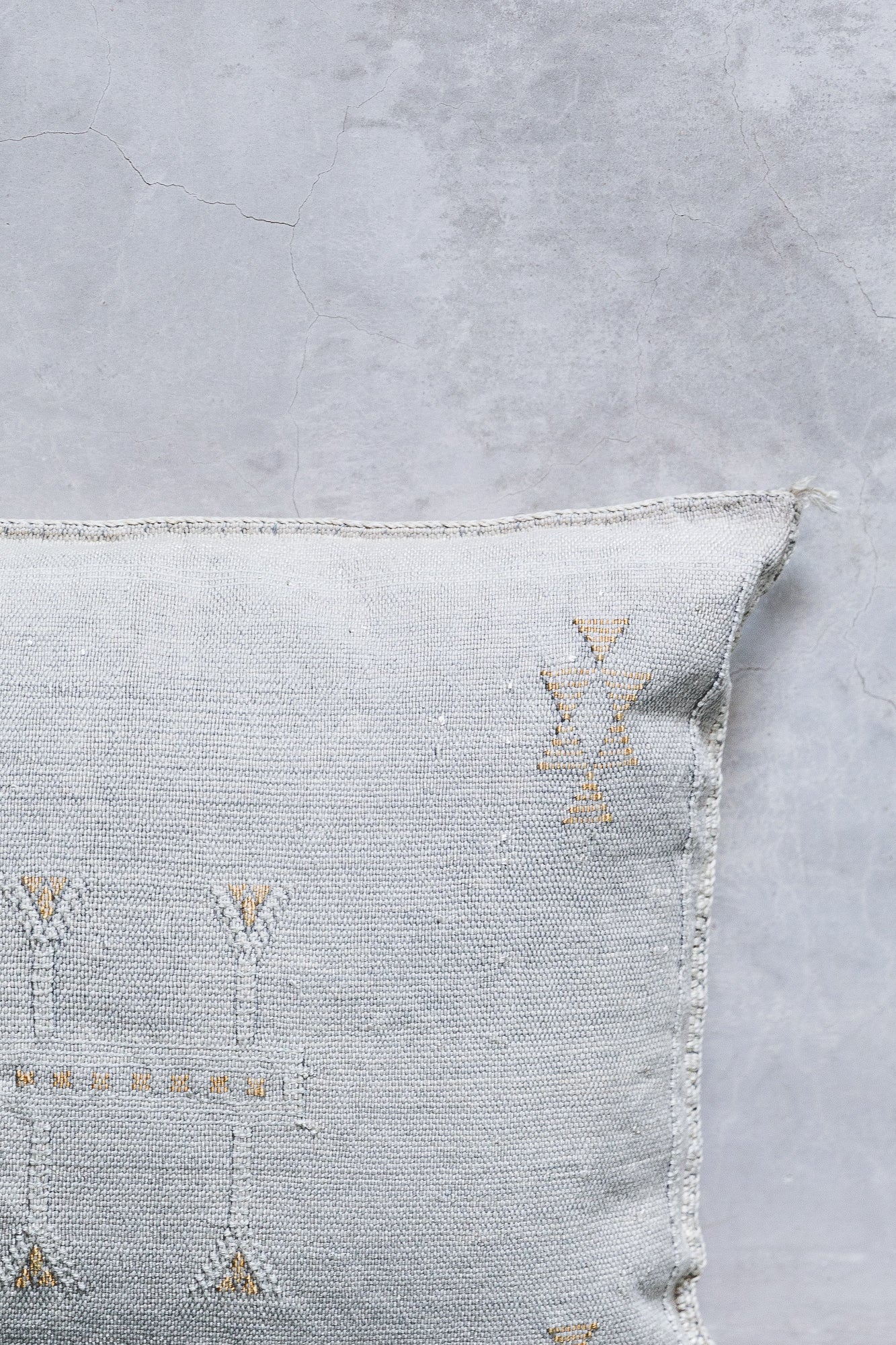 Cactus Silk Cushion Cover - Grey Wash Color