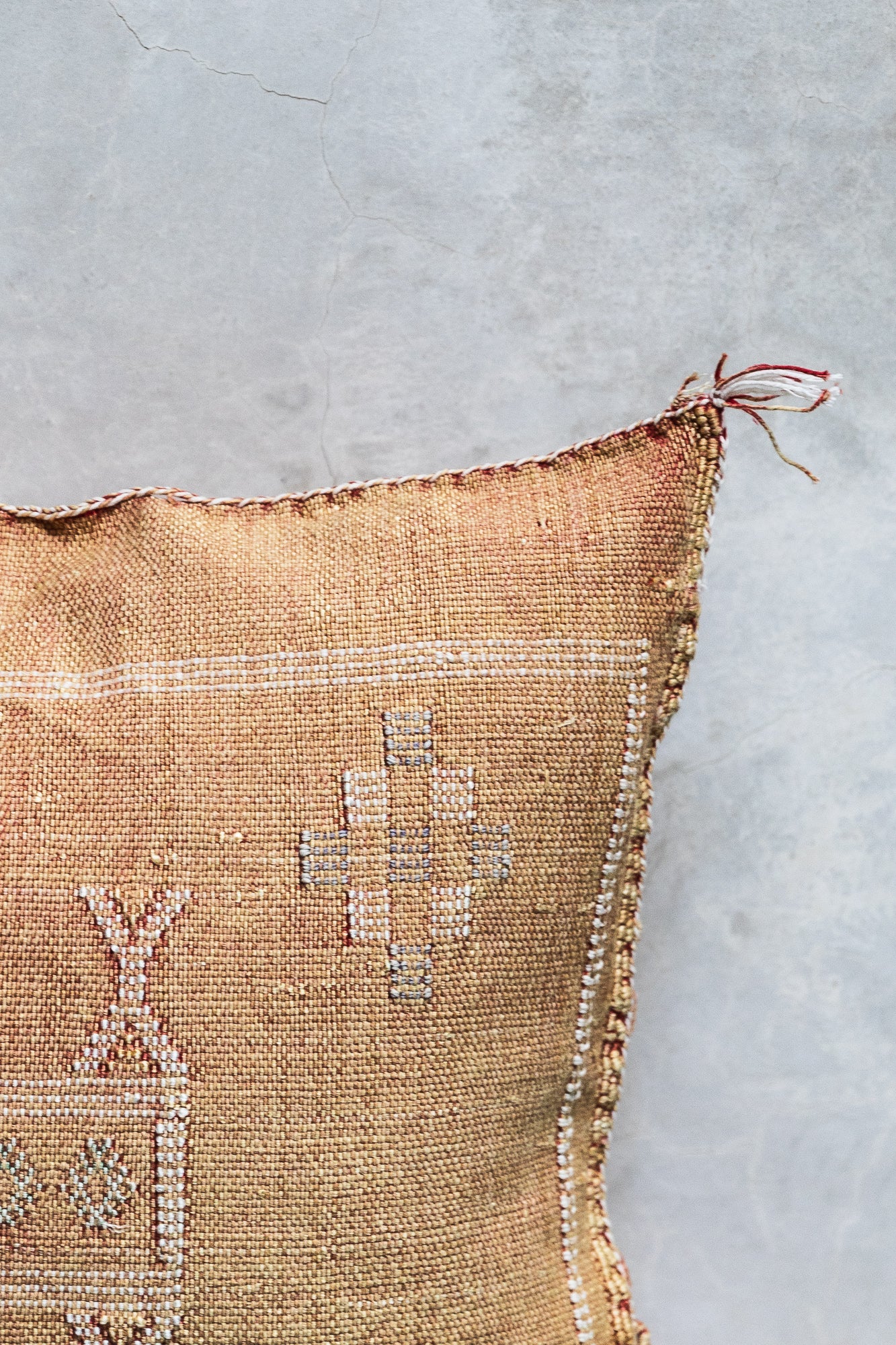 Cactus Silk Cushion Cover - Ash Orange Color