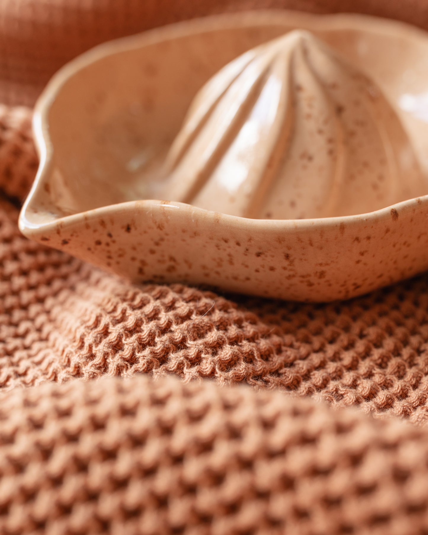 Ceramic Lemon Squeezer